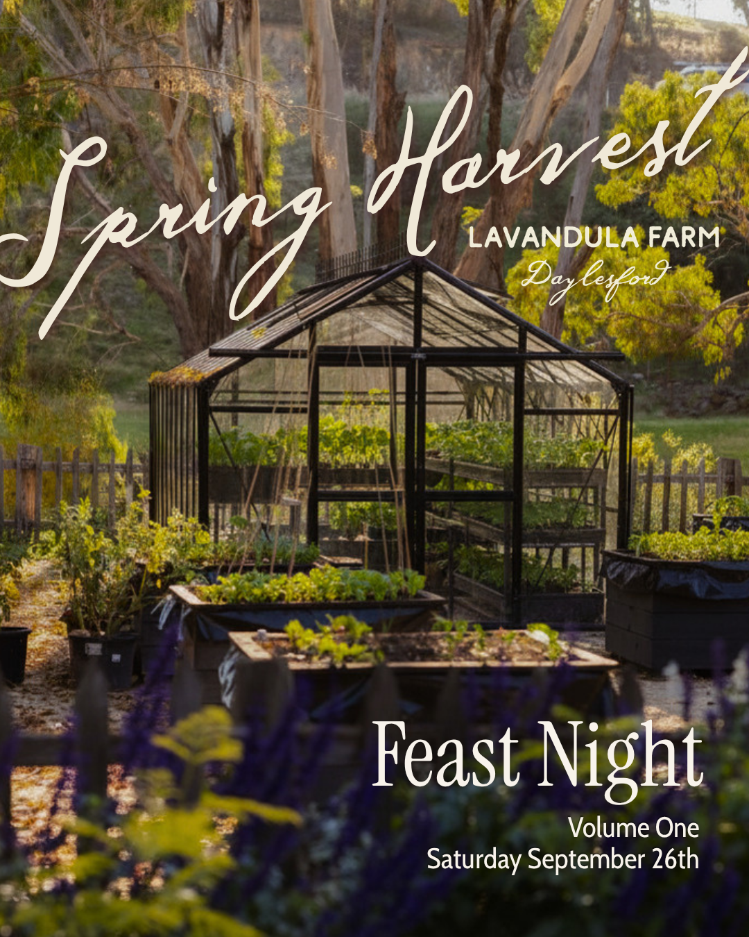 Feast Night | Spring Harvest Volume One