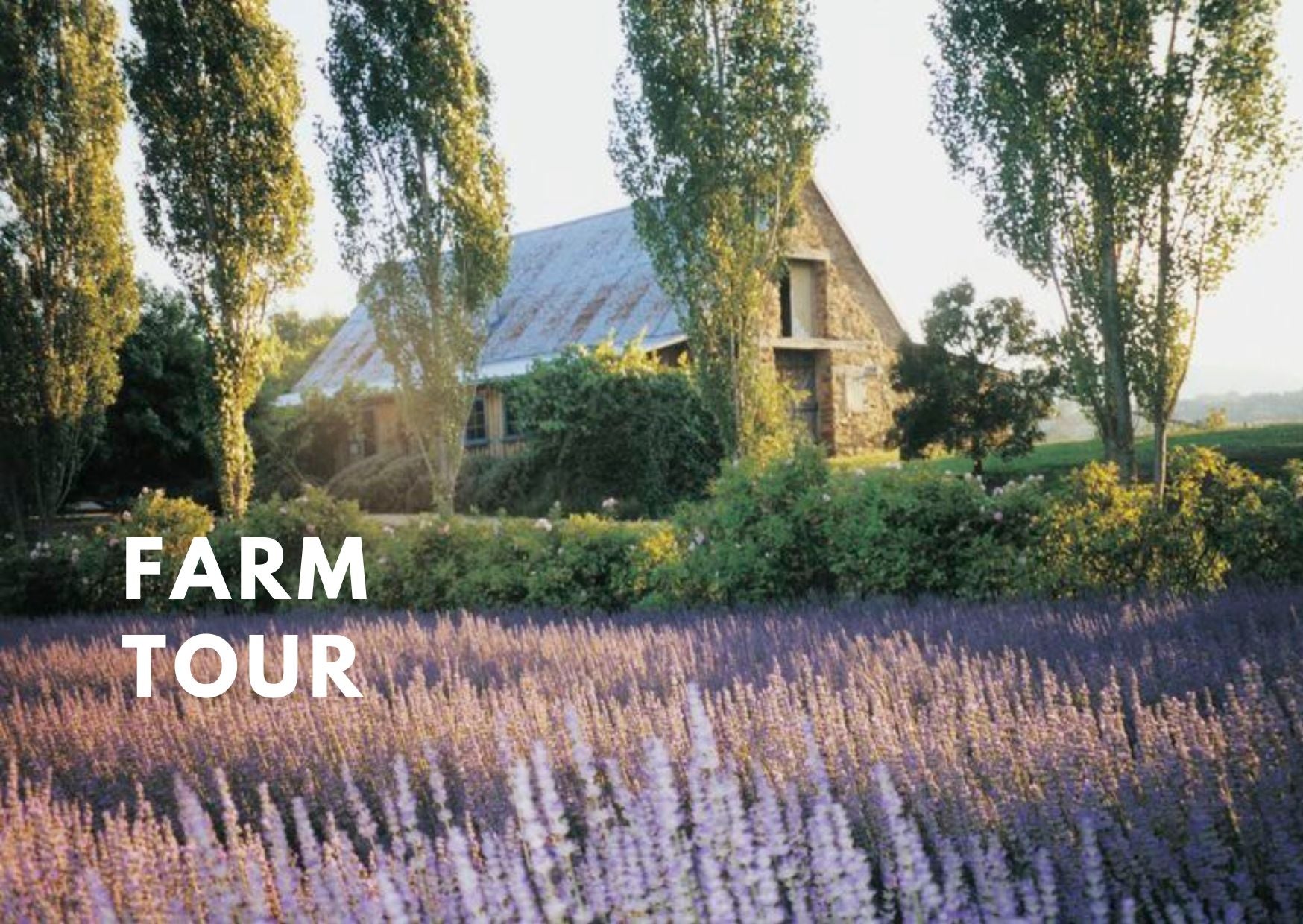 Wedding Venue Tour