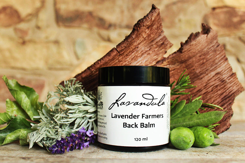 Lavender Farmers Back Balm