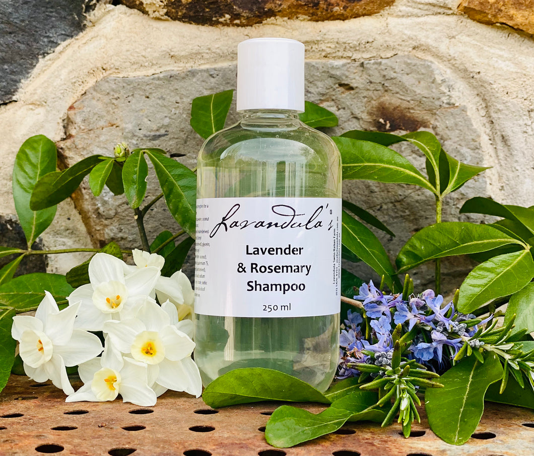 Lavender & Rosemary Shampoo