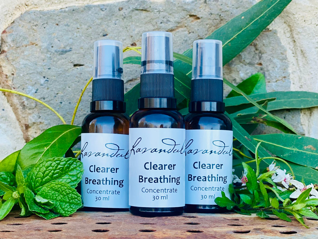 Clearer Breathing Concentrate