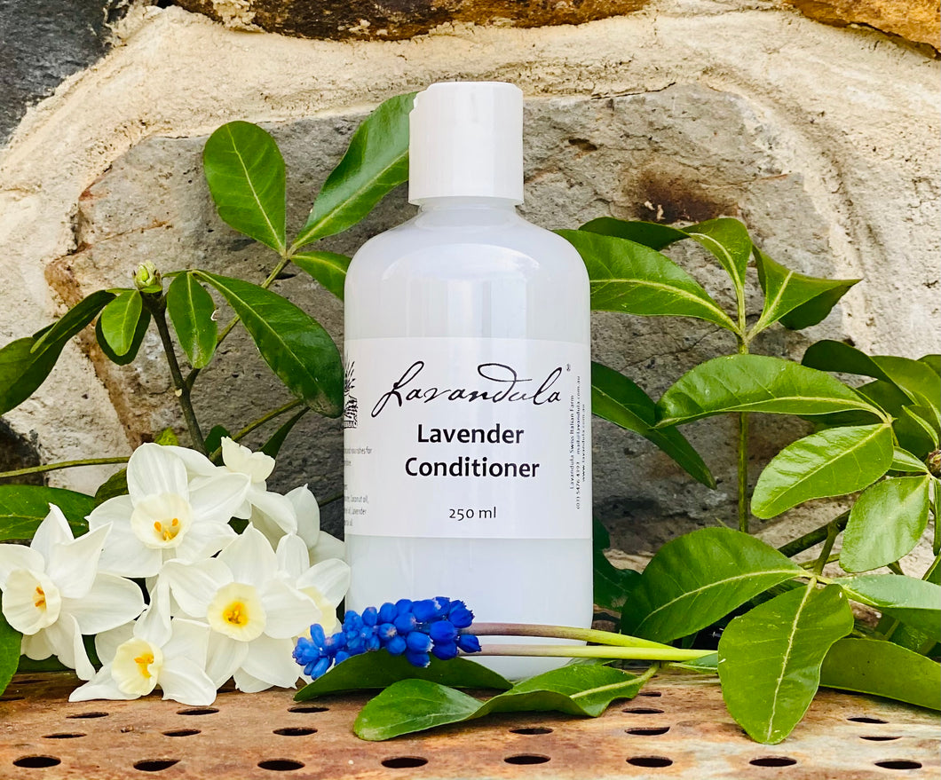 Lavender Conditioner